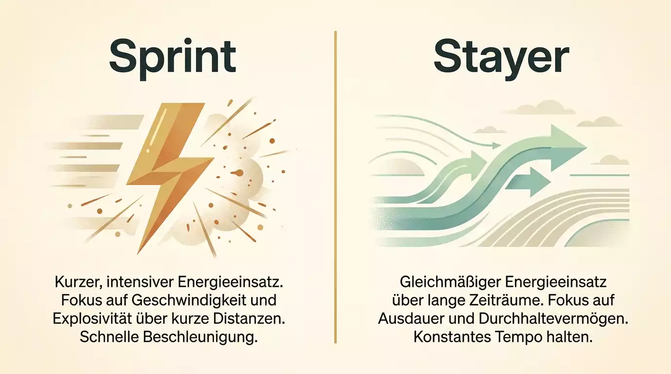 Anatomische Darstellung der Greyhound-Muskulatur und Lungenkapazität für Sprint-Leistung
